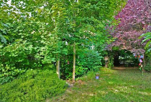 Bild20 - 