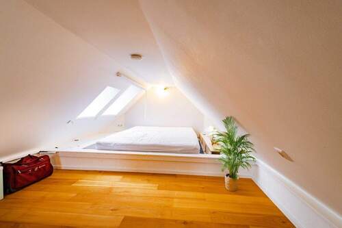 Dachspitz - 