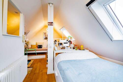 Dachspitz - 