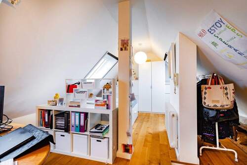 Dachspitz - 