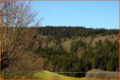idyllisches Umland - 
