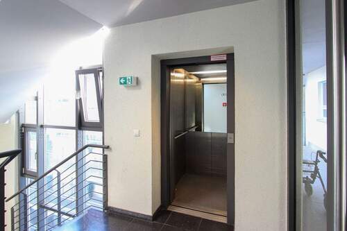 Treppenhaus mit Aufzug - 2 Zimmer Etagenwohnung in Dresden / Johannstadt-Süd