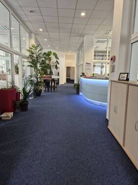 20250808_131502.jpg - 