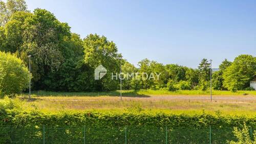 Ausblick - 