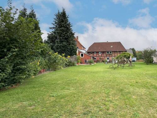 Garten hinter dem Haus - 