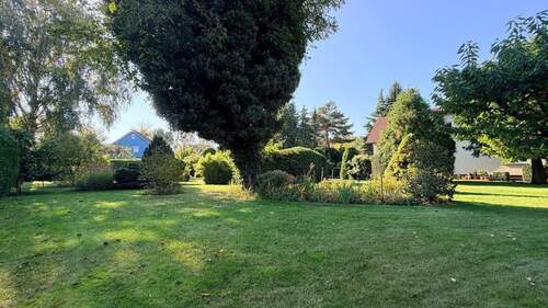 Der Garten im Südwest-Blick - 