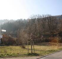 Das gibt es nicht alle Tage zu diesem Preis... .... Sie planen Sie ihr Traumhaus.....mitten im Grünen.... - Hausen