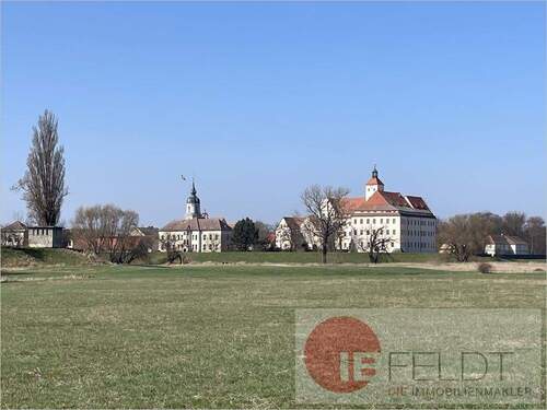 Schloss Pretzsch - 4 Zimmer Einfamilienhaus zum Kaufen in Pretzsch/Elbe