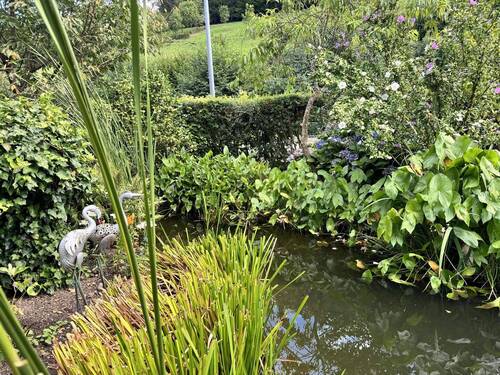 Teich - 