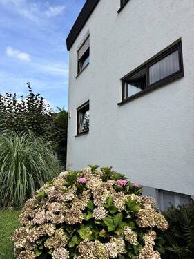 Seitenansicht - 