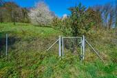 Wiesenrandlage - 