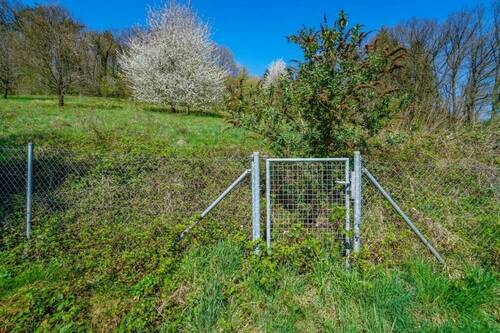 Wiesenrandlage - 
