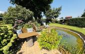 3034_Teich - 