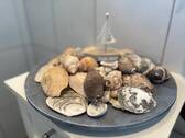 Bild 7 - 