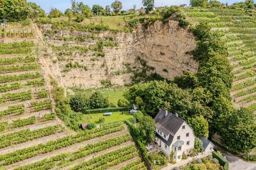 Drohnenansicht - Exklusives Traumhaus mitten in den Weinbergen