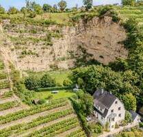 Exklusives Traumhaus mitten in den Weinbergen - Stuttgart Hofen