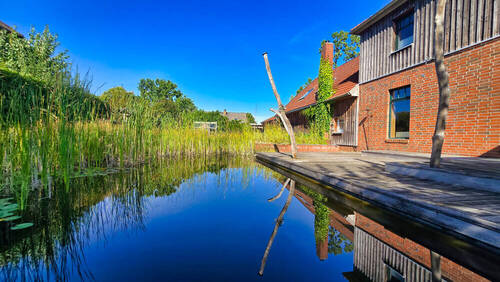 Teich - 