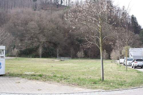 IMG_1760 - Ein Grundstück das auch in Ihre Planung passt... sofort bebaubar....