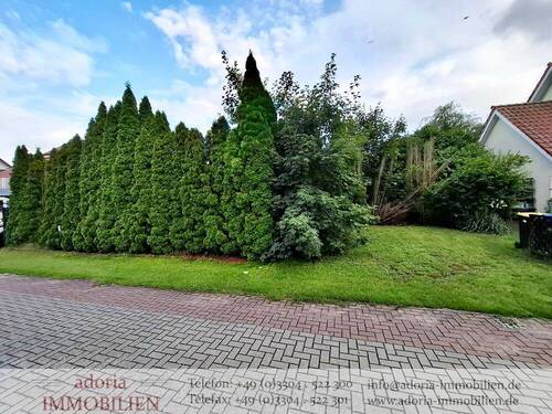 Straßenansicht Hecke - 