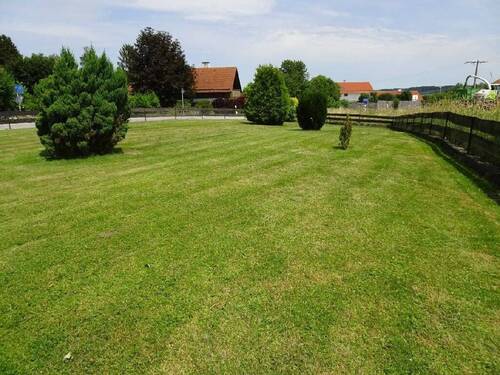 Blick Richtung Osten - Grundstück zum Kaufen in Schönberg