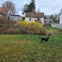 Gartenansicht mit Blick zum Haus - 