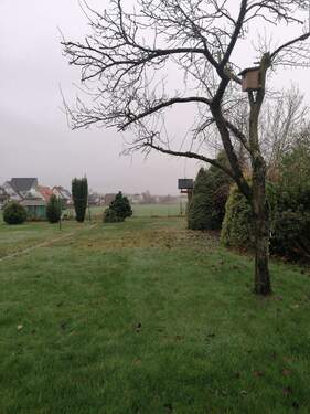 Bild 2 - 4 Zimmer Einfamilienhaus zum Kaufen in Lage