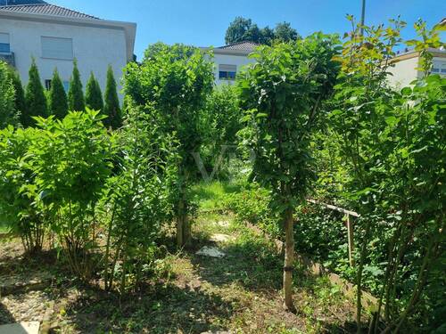 Gartenbereich - 
