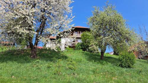 Außenansicht vom Garten - 