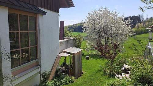 Seitlicher Blick auf Terrasse - 