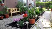 Garten - 
