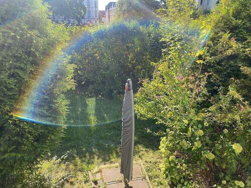 IMG_2104.jpeg - Etagenwohnung mit 46,00 m&sup2; in Chemnitz zur Miete