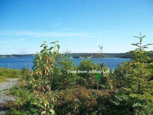 Blick vom oberen Bereich des Grundstückes - 