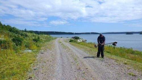 Mäharbeiten entlang der Wasserfront - 