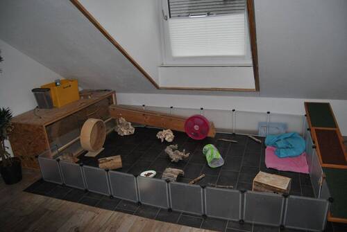 Bild 15 - 