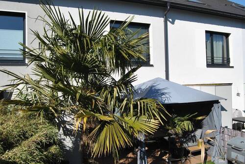 Bild 2 - 5 Zimmer Reihenmittelhaus zum Kaufen in Dortmund