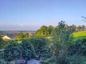 Feldblick - 