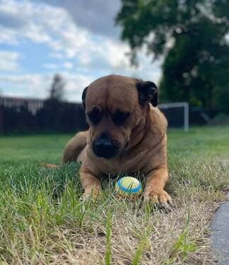 a5b7c0e2-605c-42e2-9e18-b0f6a098820a.jpg - 