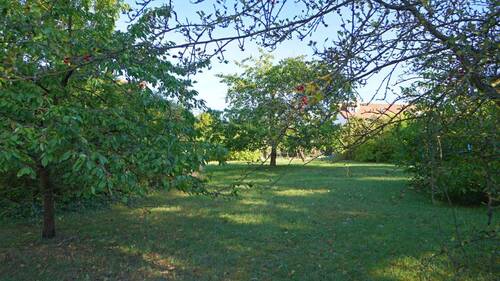 Blick vom unteren Teil des Grundstücks nach oben - Grundstück in Erfurt zum Kaufen