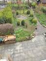 Blick in den Garten - 