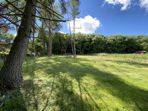 Grundstück am Waldrand - 