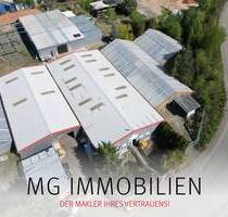 MG - Ramstein: Gewerbefläche mit modernen Lagerhallen - Ramstein-Miesenbach