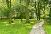 Gartenanlage vor dem Haus - 
