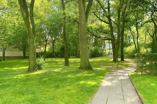 Gartenanlage vor dem Haus - 