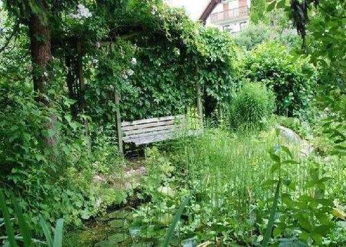 Gartenecke3.jpg - Grundstückshälfte für Ihre Doppelhaushälfte