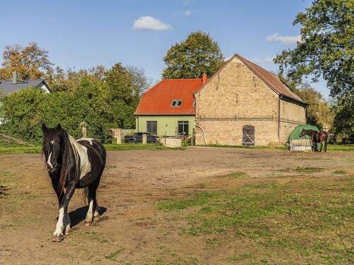 Wohnen mit Pferd - 7 Zimmer Mehrfamilienhaus, Wohnhaus zum Kaufen in Nauen
