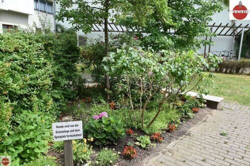 Detail, Gartenanlage - 