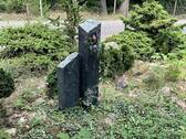 Eisvogel - 