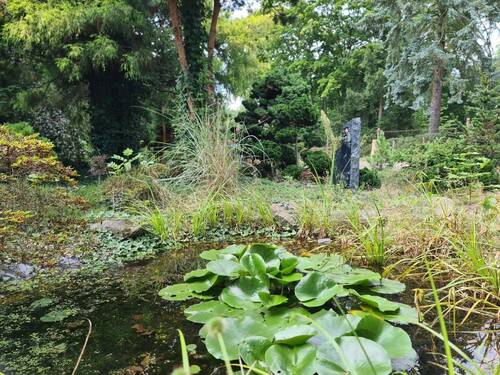 kleiner Teich - 