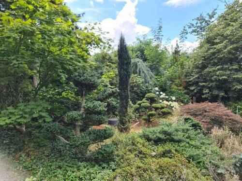 Gartengestaltung - 
