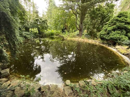 Fischteich - 4 Zimmer Einfamilienhaus zum Kaufen in Döbern